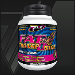 Fat Transporter