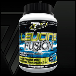 Leucine Fusion